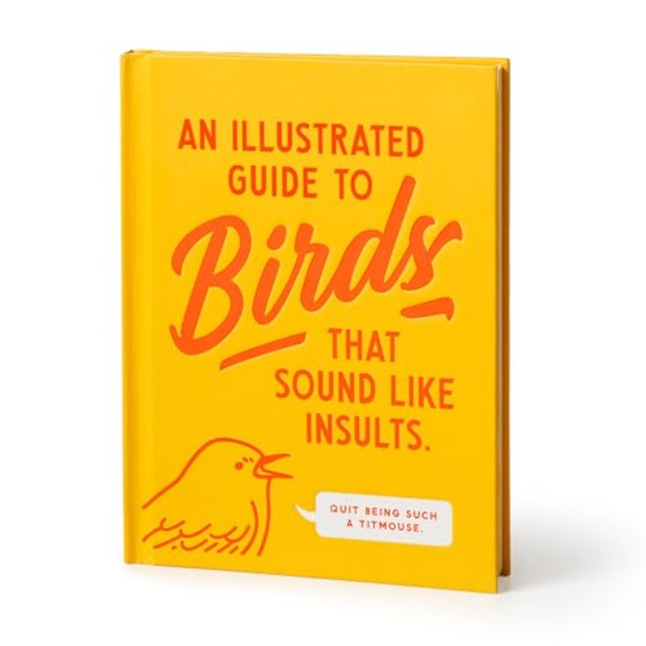 An Illustrated Guide to Birds that Sound like Insults
