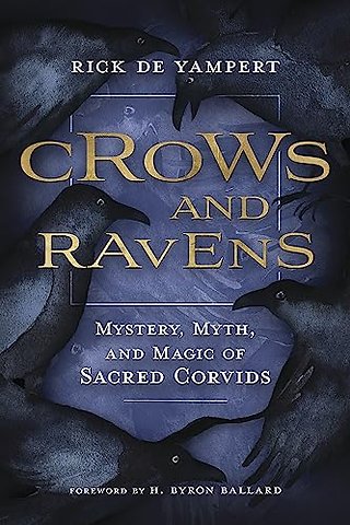 Crows and Ravens