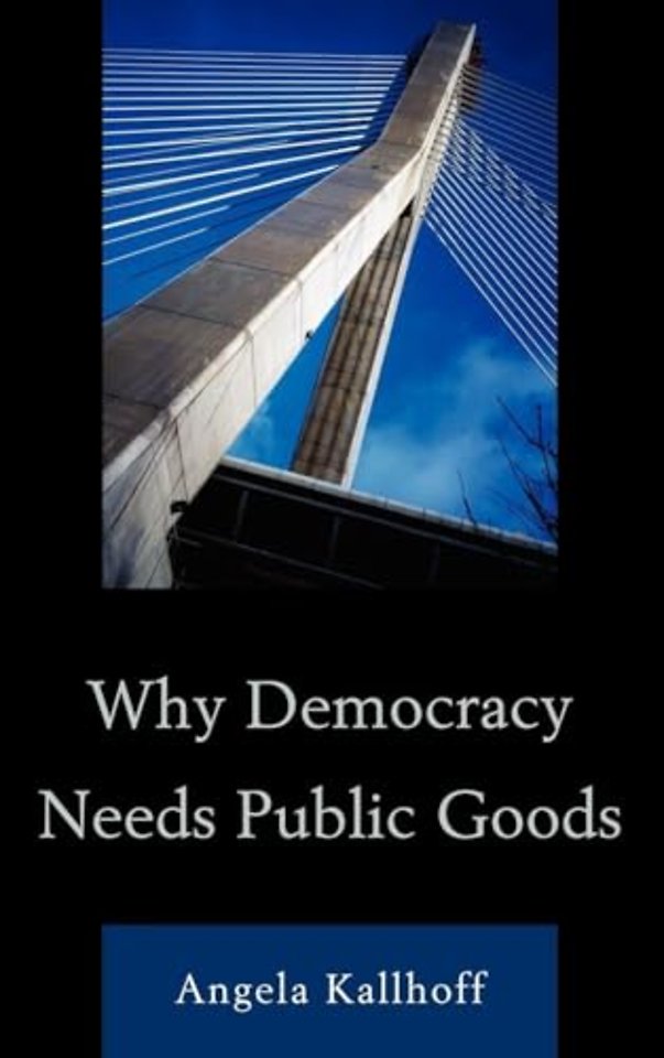 Why Democracy Needs Public Goods