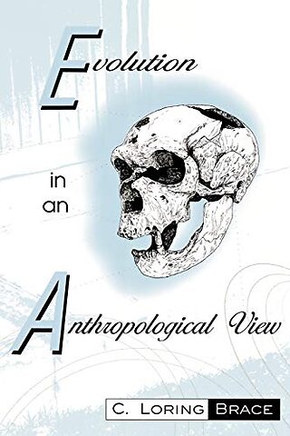 Evolution In An Anthropological View