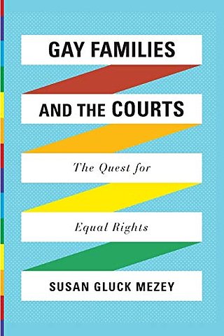 Gay Families and the Courts