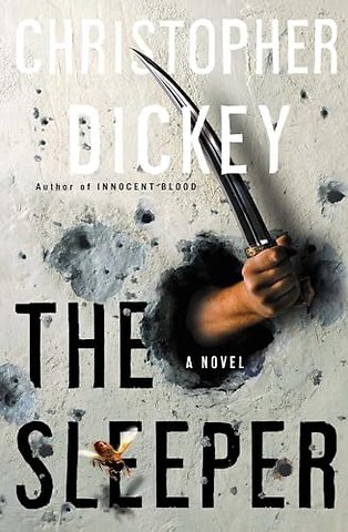 The Sleeper