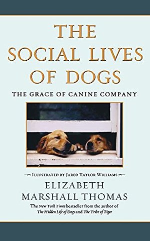Social Lives of Dogs