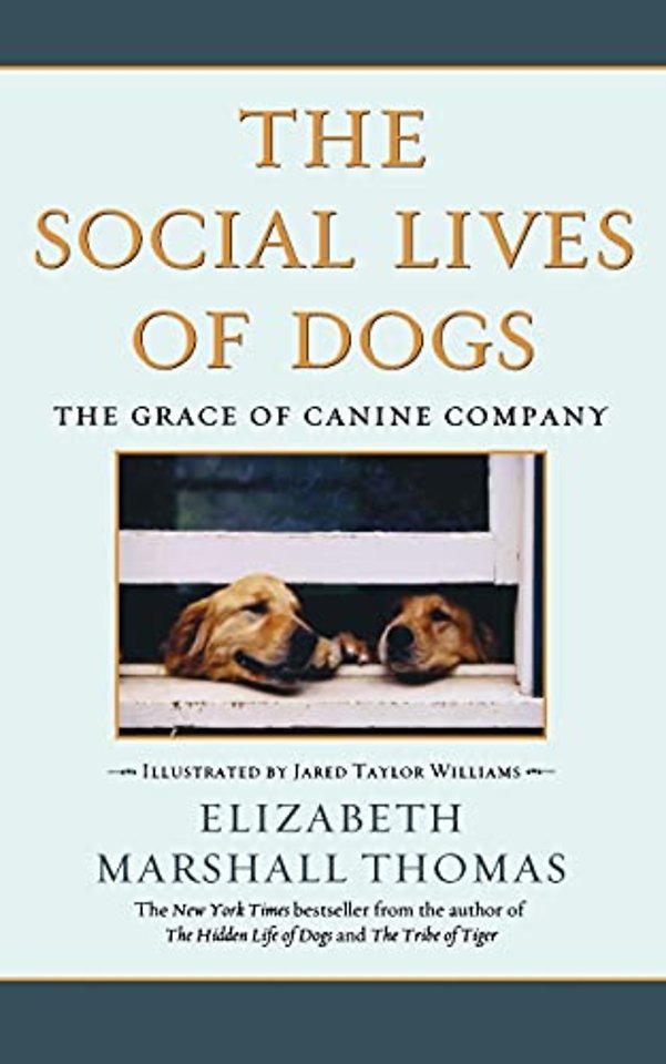 Social Lives of Dogs