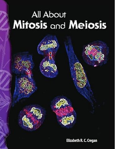 All About Mitosis and Meiosis