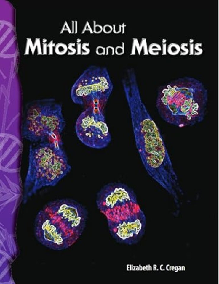 All About Mitosis and Meiosis