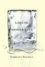 Liquid Modernity