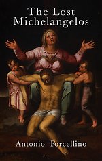 The Lost Michelangelos