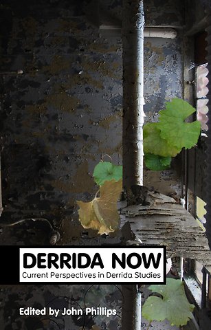 Derrida Now