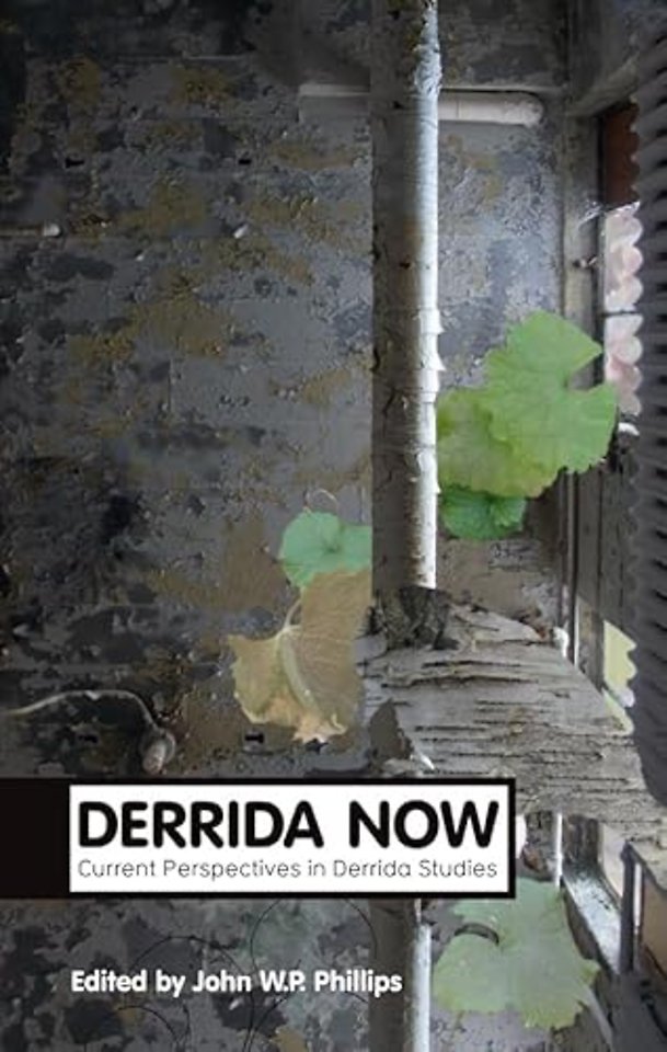 Derrida Now
