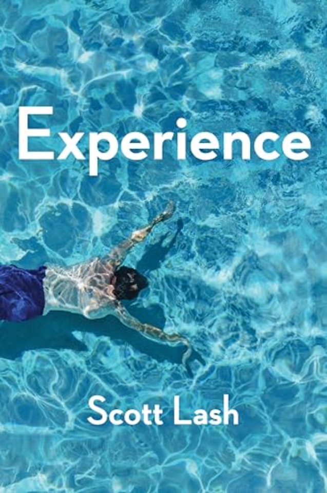 Experience