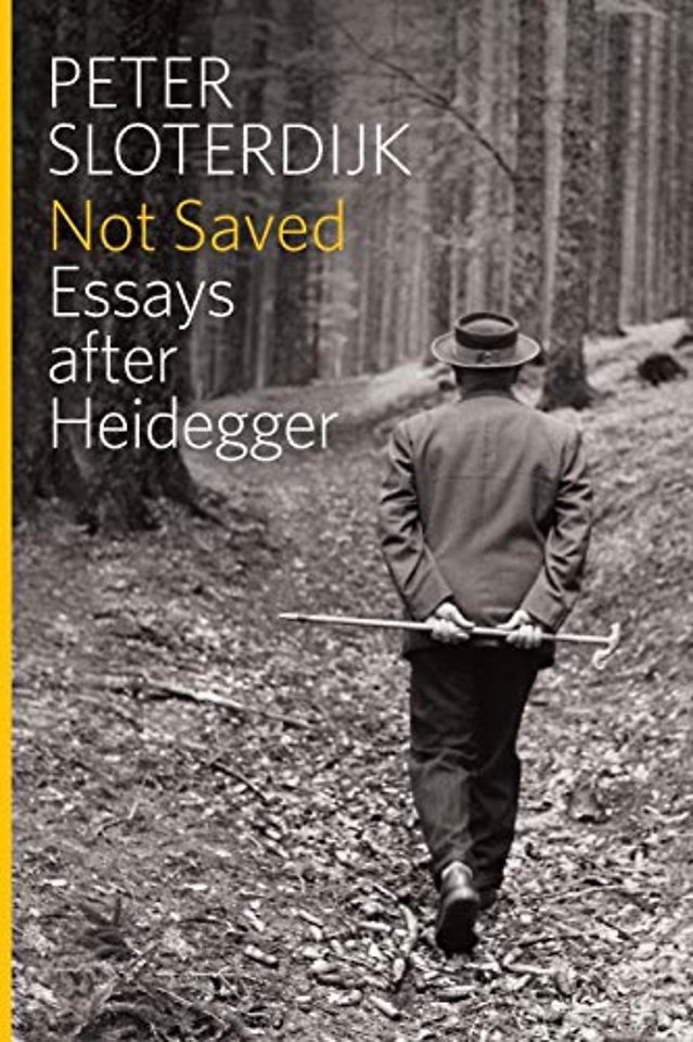 Not Saved – Essays After Heidegger
