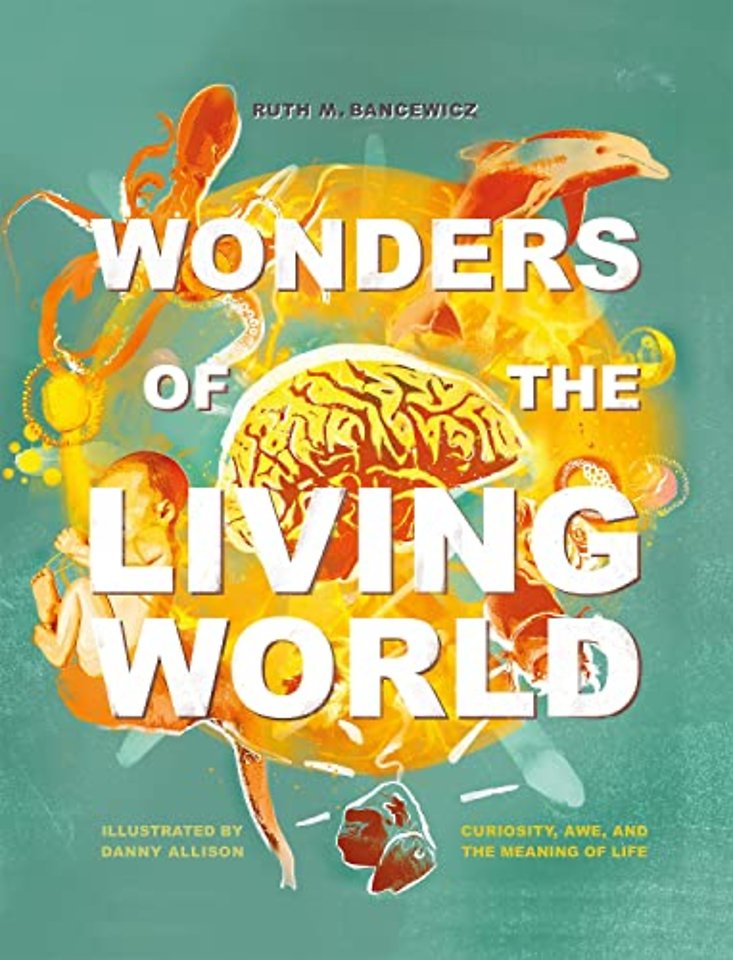 Wonders of the Living World (Illustrated Hardbac – Curiosity, awe, and the meaning of life