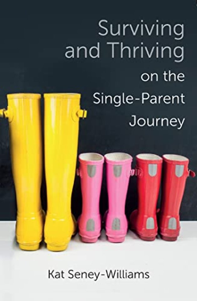 Surviving and Thriving on the Single–Parent Jour – A Step–by–Step Approach