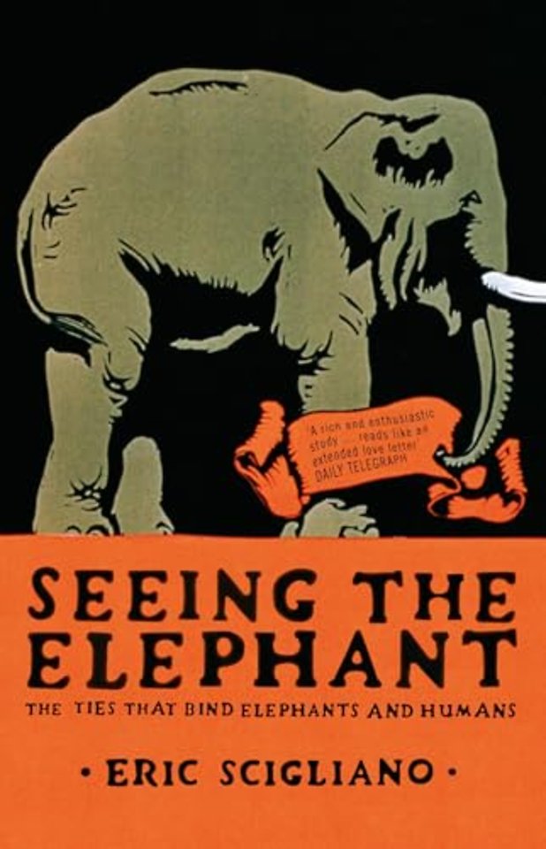 Seeing the Elephant