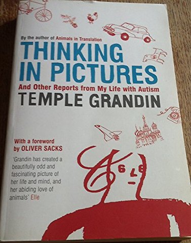 Thinking in Pictures