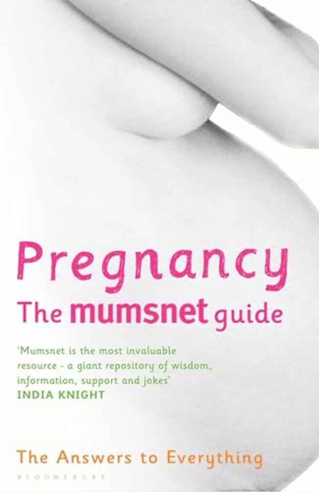 Pregnancy: The Mumsnet Guide