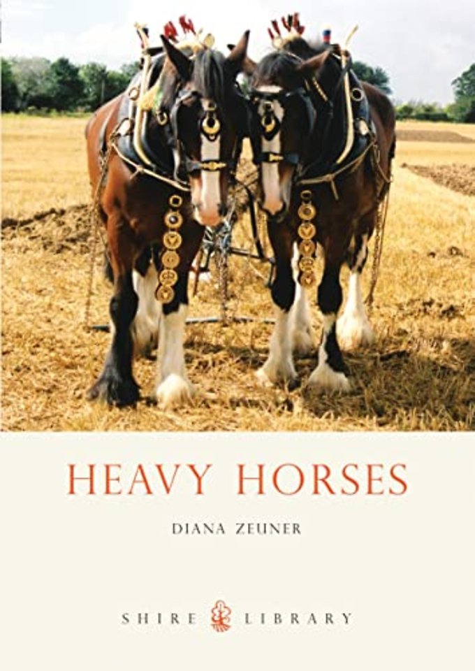 Heavy Horses