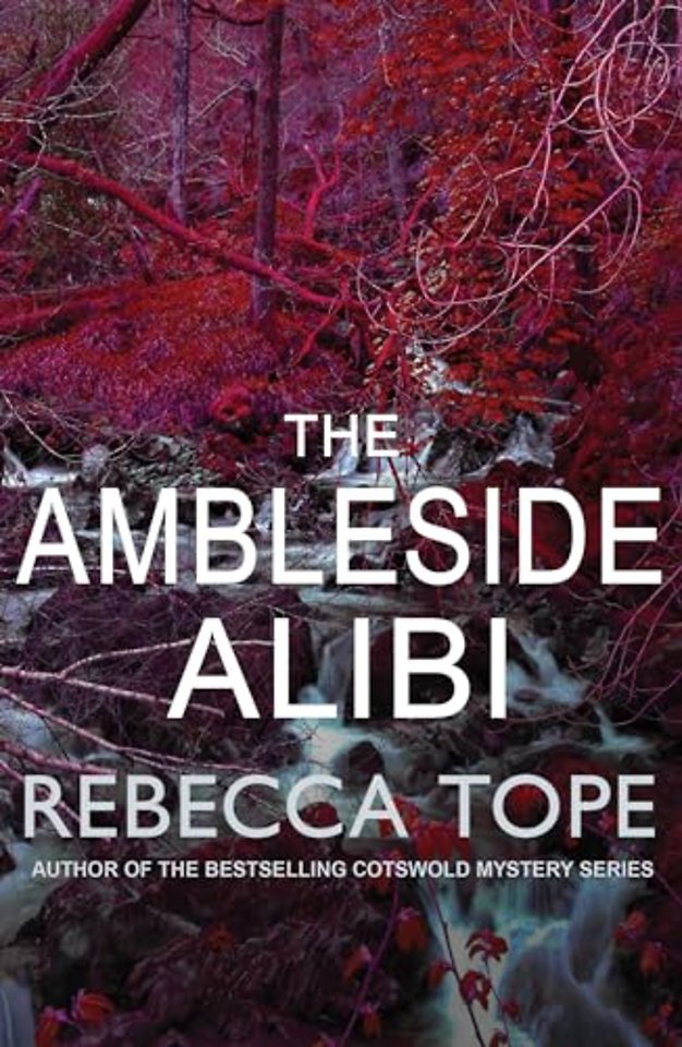 The Ambleside Alibi