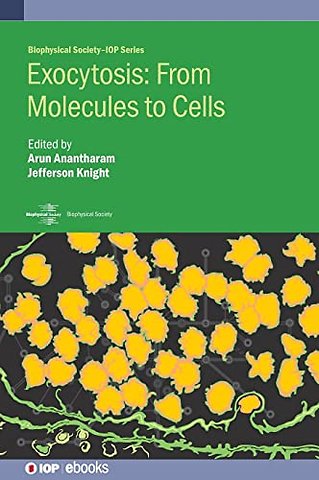 Exocytosis: From Molecules to Cells