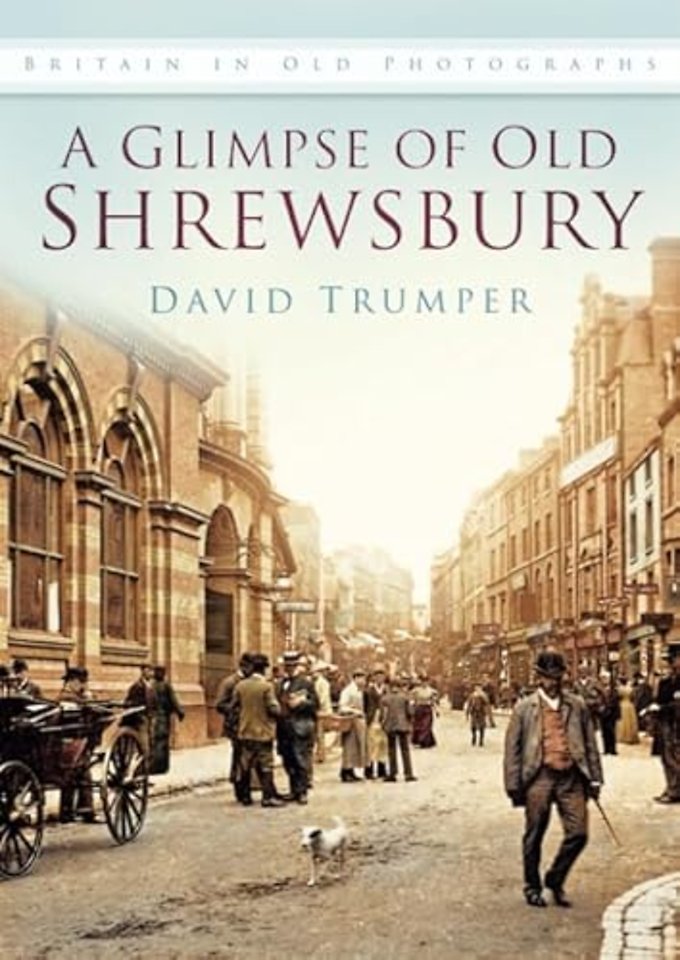Glimpse of Old Shrewsbury
