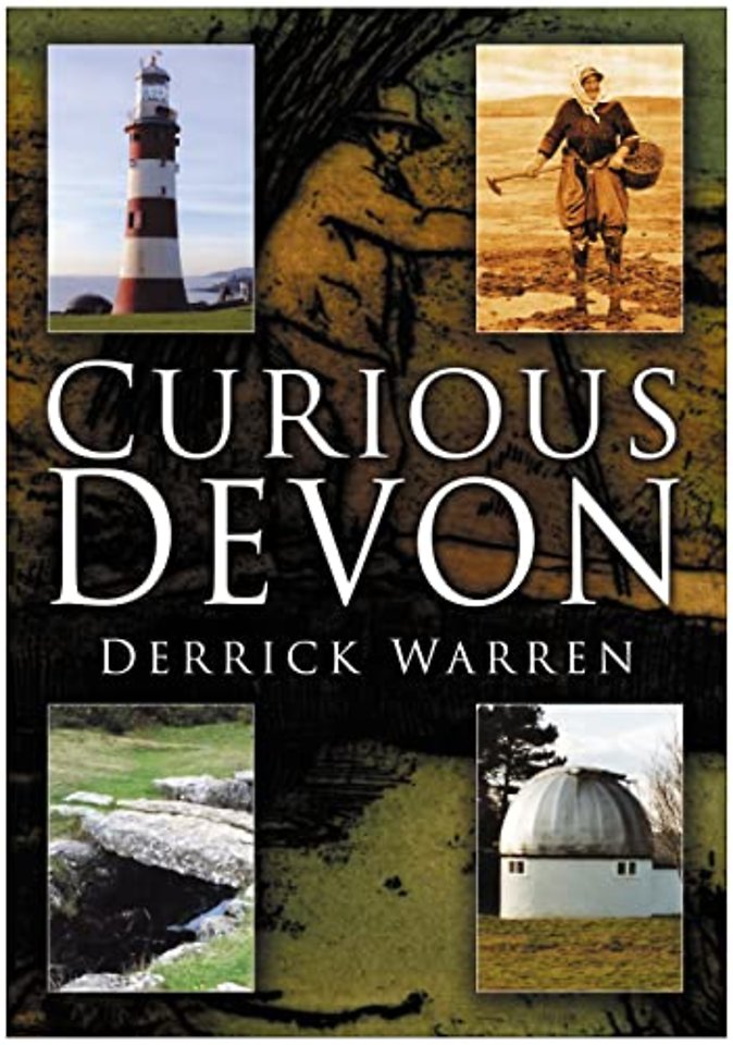 Curious Devon