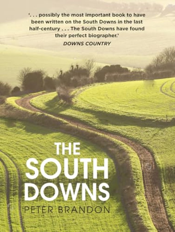The South Downs