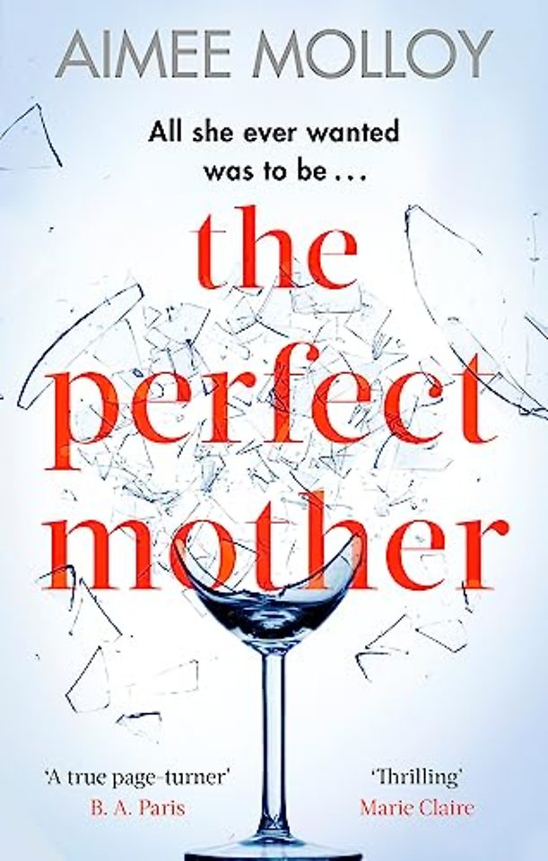 The Perfect Mother