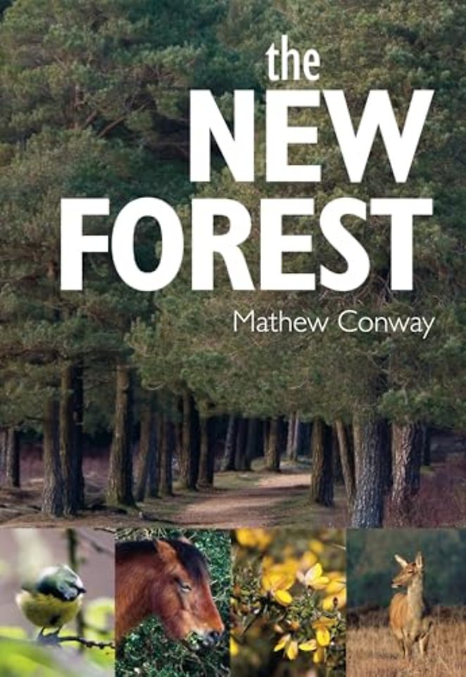The New Forest