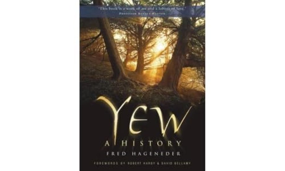 Yew