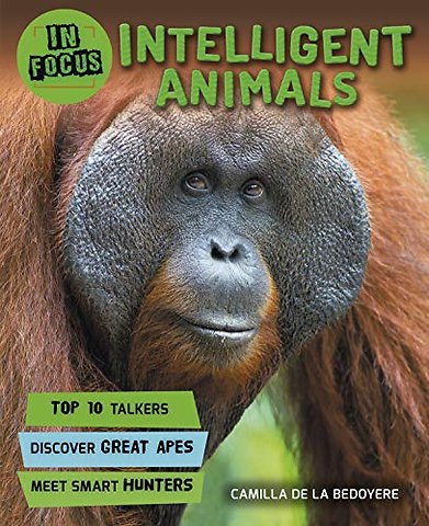 In Focus: Intelligent Animals
