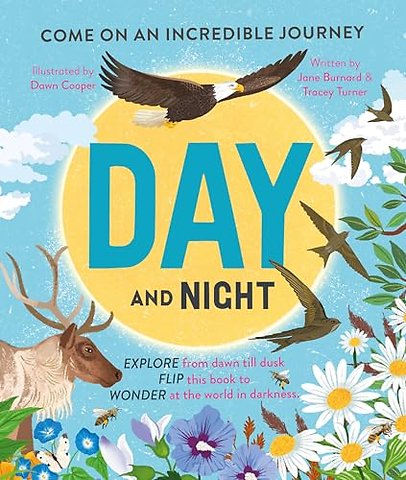 Day and Night