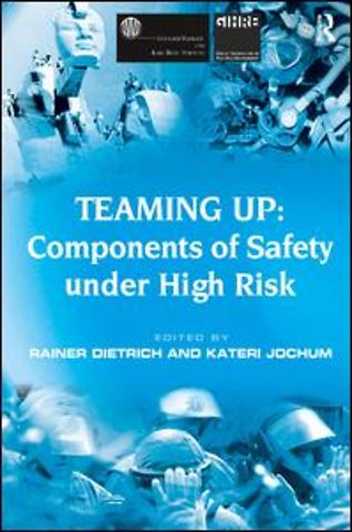 Teaming Up: Components of Safety Under High Risk