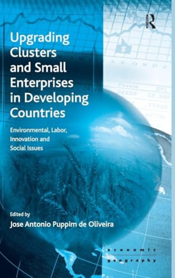 Upgrading Clusters and Small Enterprises in Developing Countries