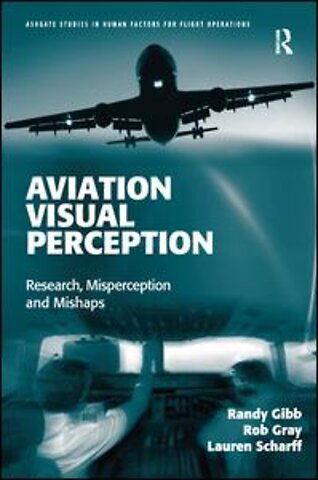 Aviation Visual Perception