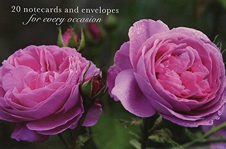 Card Box of 20 Notecards and Envelopes: Pink Rose