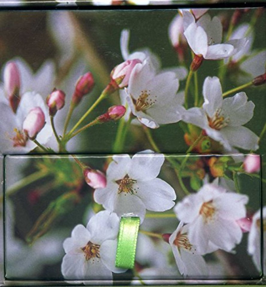 Memo Block Cherry Blossom