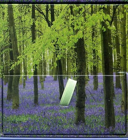 Memo Block - Bluebells