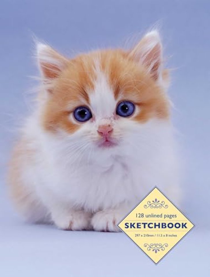 Sketchbook: Kitten