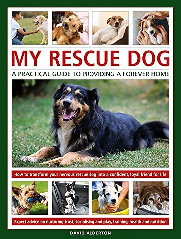 My Rescue Dog: A practical guide to providing a forever home