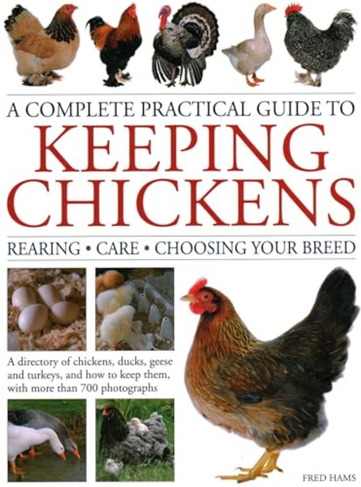 Keeping Chickens, Complete Practical Guide to