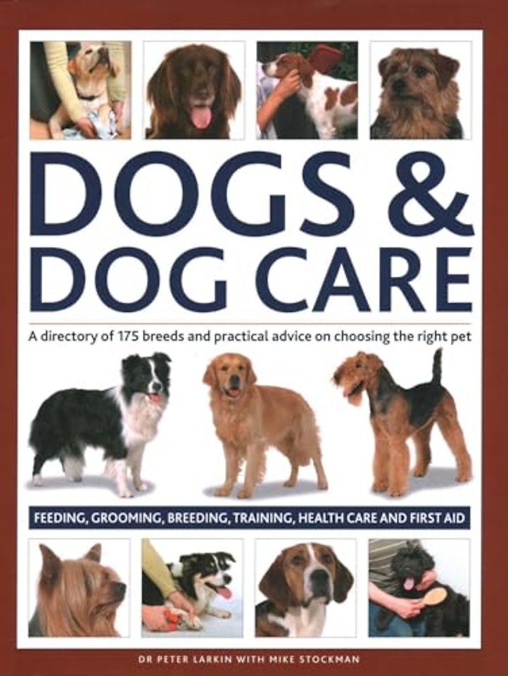 Dogs & Dog Care