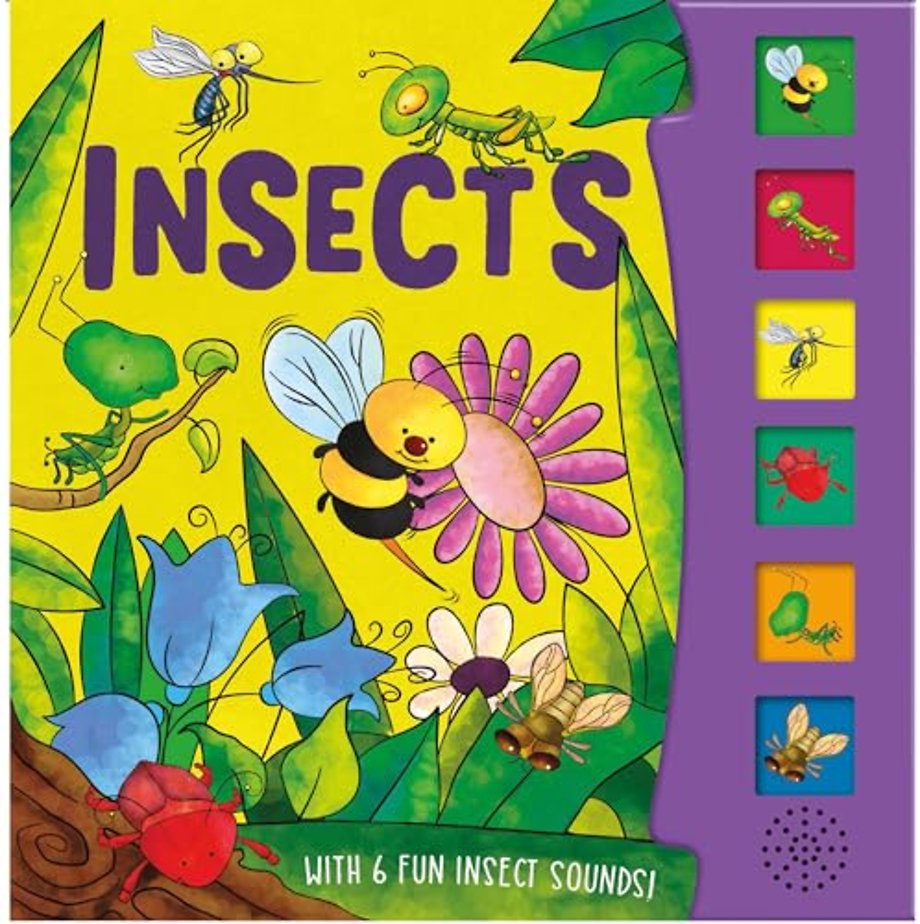 Insects