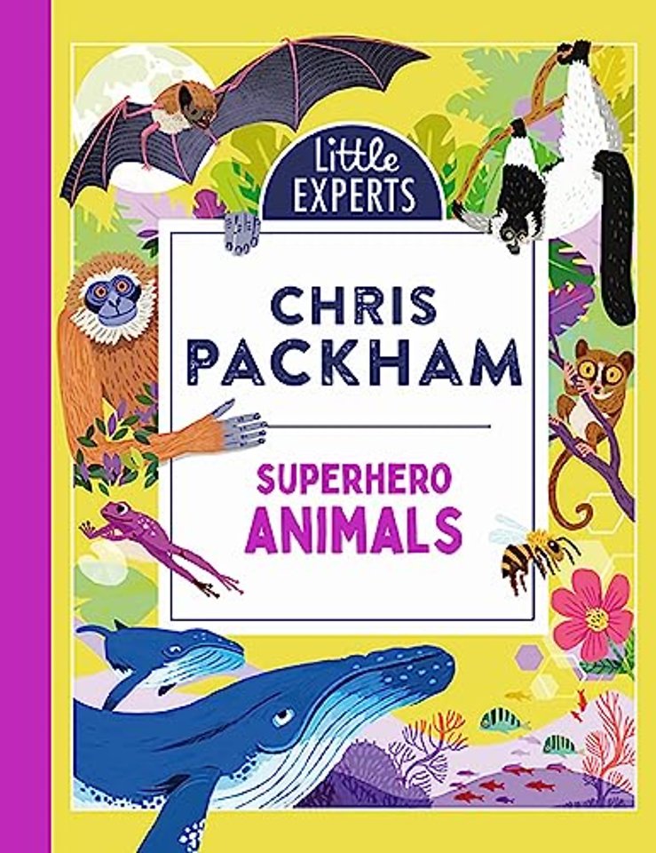 Superhero Animals