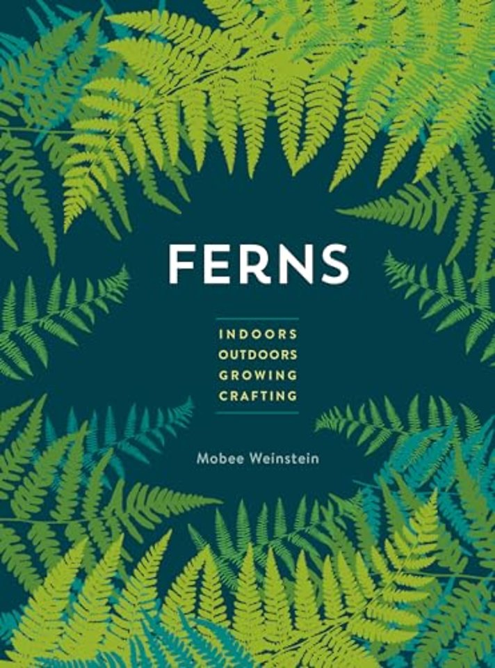 Ferns