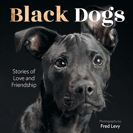 Black Dogs