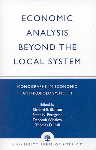 Economic analysis beyond the local system