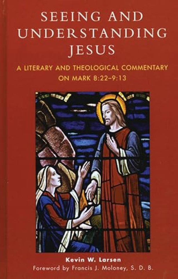 Seeing and Understanding Jesus