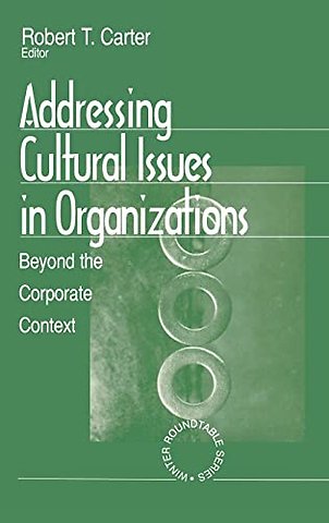 Addressing Cultural Issues in Organizations