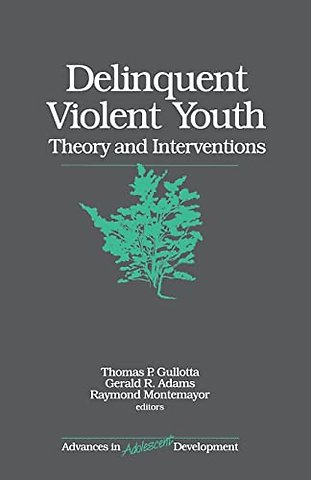 Delinquent Violent Youth